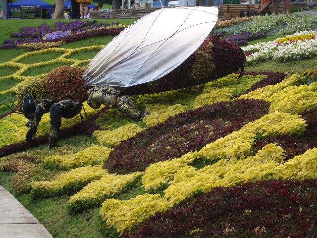 выставка цветов