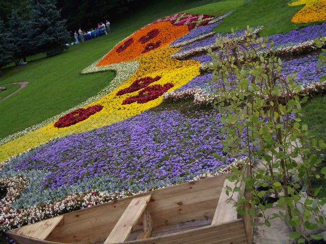 выставка цветов