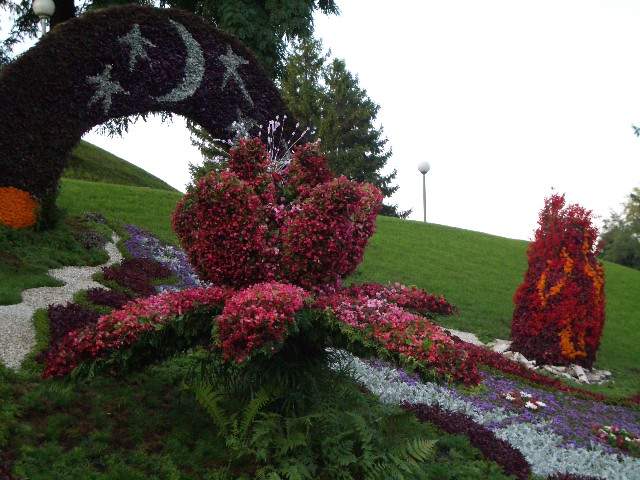 выставка цветов