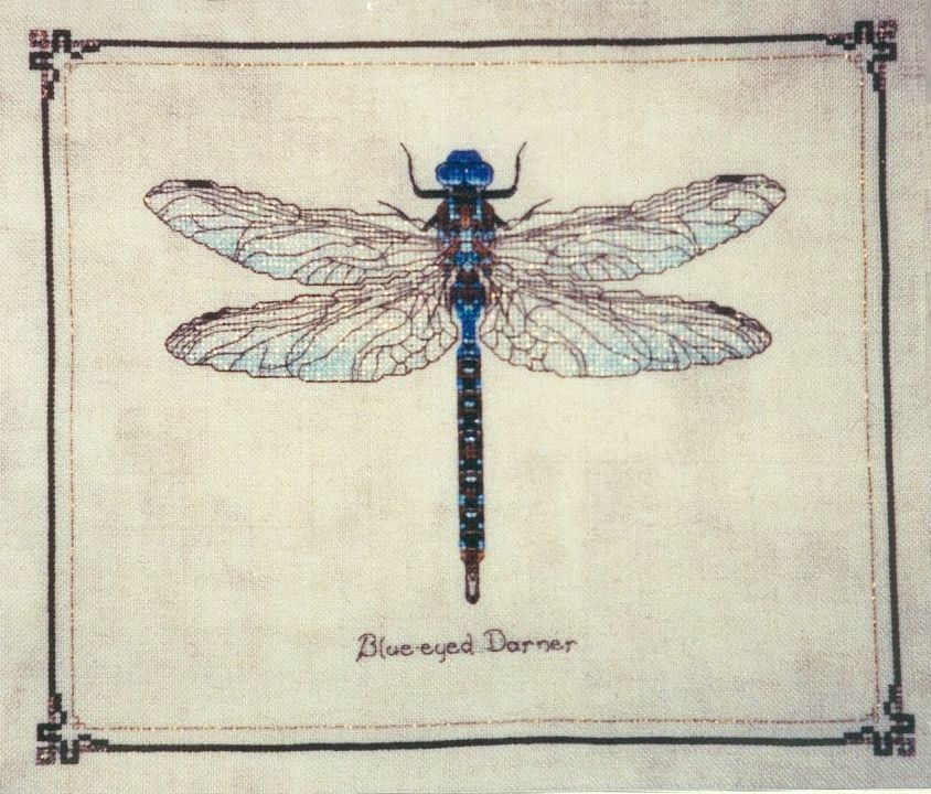 Стрекоза схема. Стрекоза для декупажа. Вышивка крестом Стрекоза. Стрекоза старинные иллюстрации. Стрекоза рисунок для вышивки.