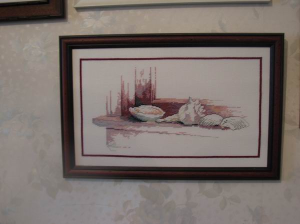 Ракушки. встреча в Красноярске (июнь)