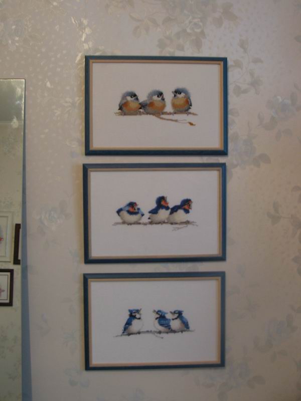 Птички . встреча в Красноярске (июнь)