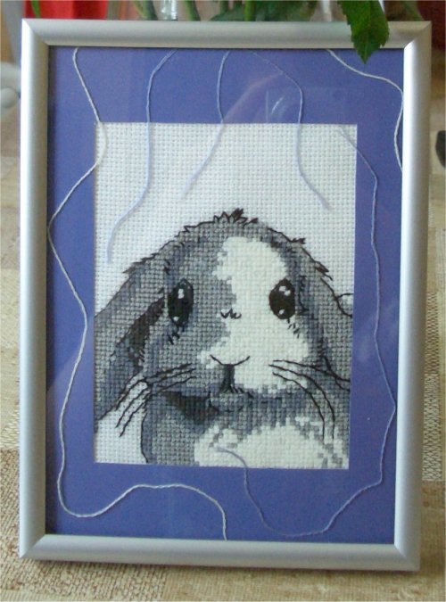 Кроль. В_Животные (Fauna)