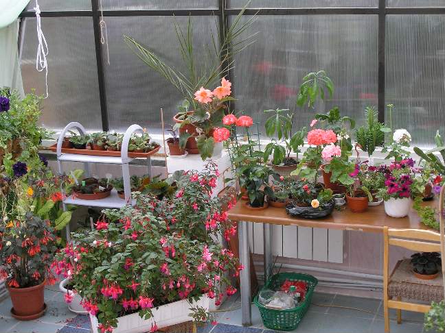 Фотки с удаленных рег