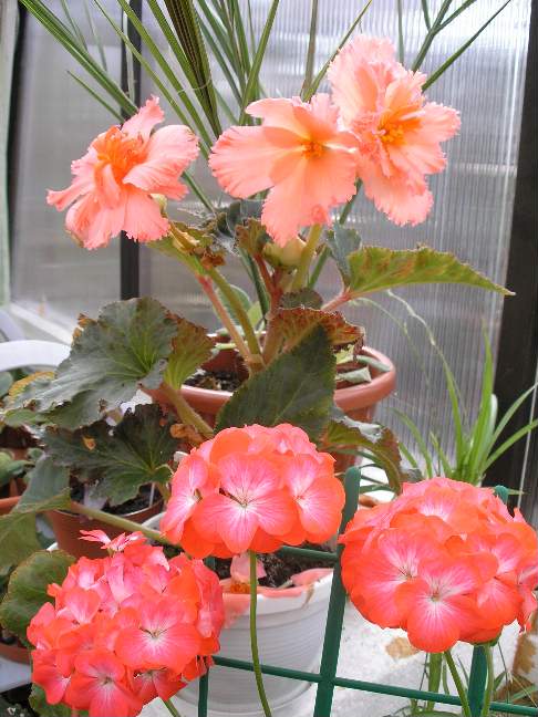 Фотки с удаленных рег