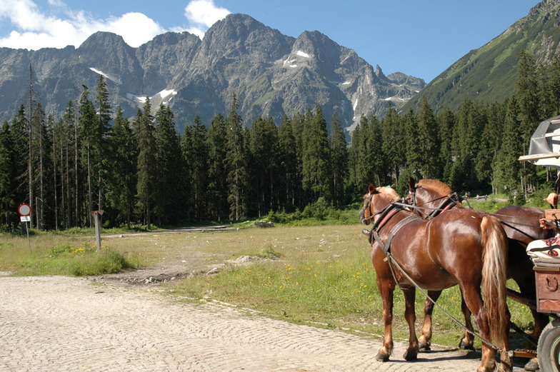 Закопане, дорогу к Морску Оку. Польша