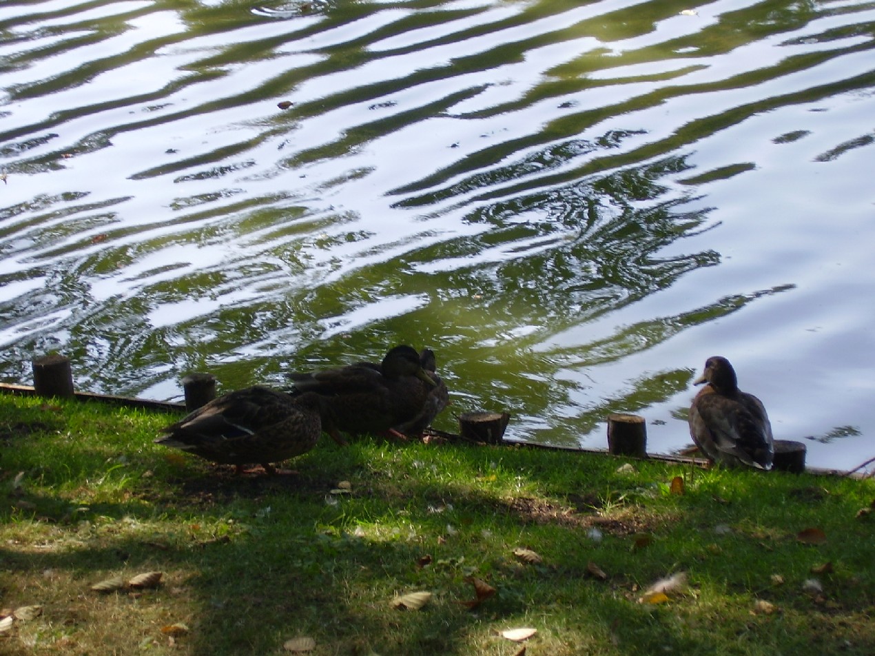 Варшава Сентябрь 2005