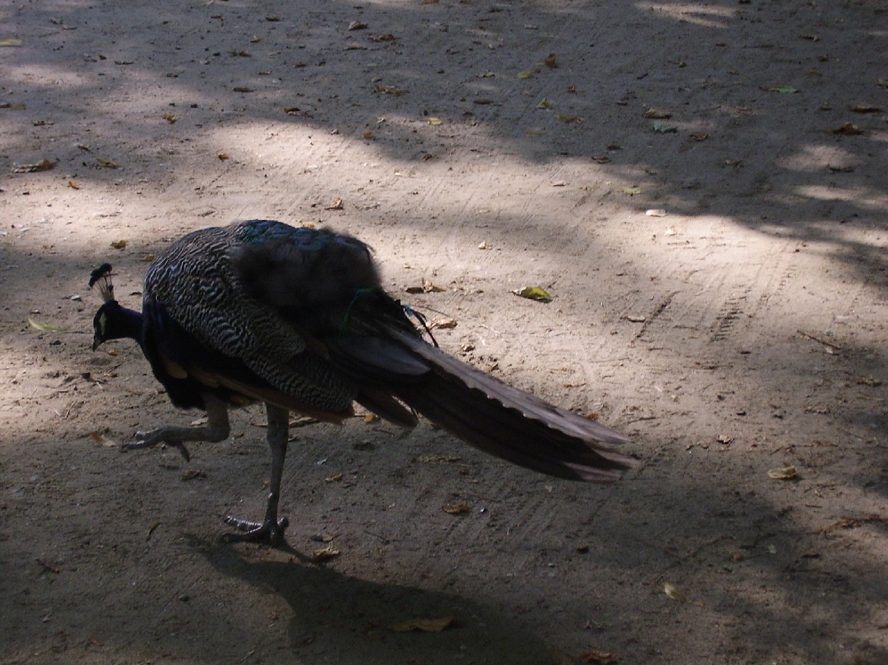 Варшава Сентябрь 2005