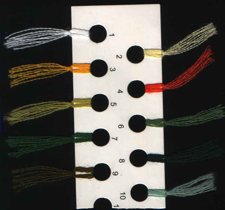 Ромашки Риолис