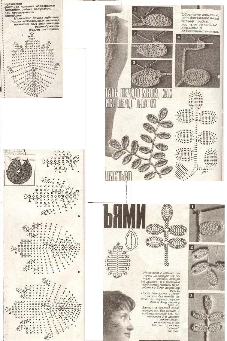 листья разные. схемы и описание квадратов