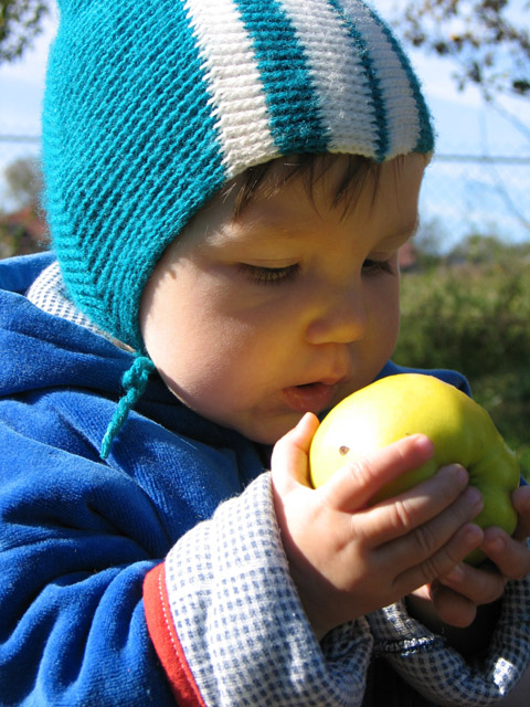 Вкусное яблочко. В гостях у бабушки с дедушкой
