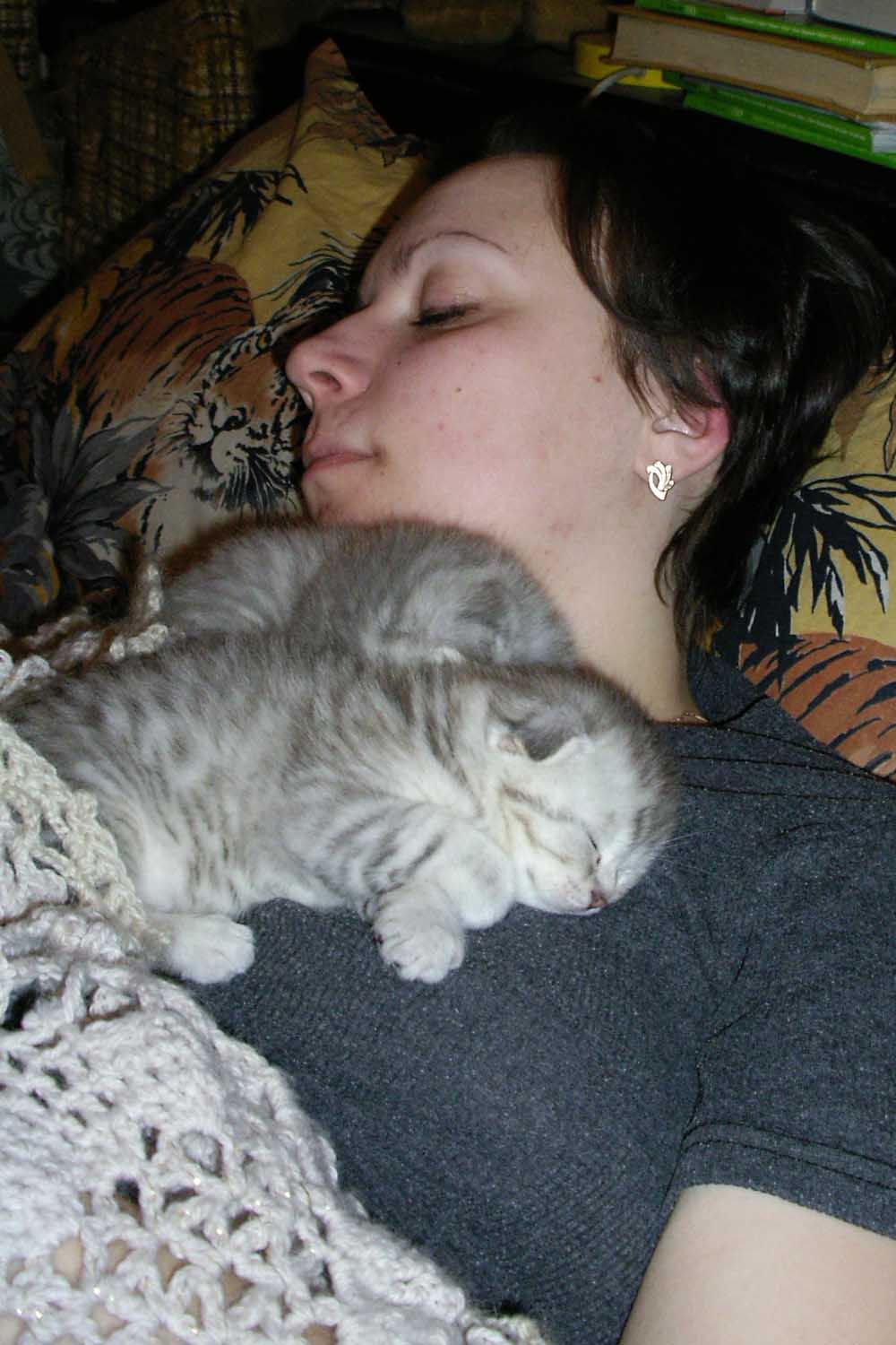 сонное царство. Наши кошки