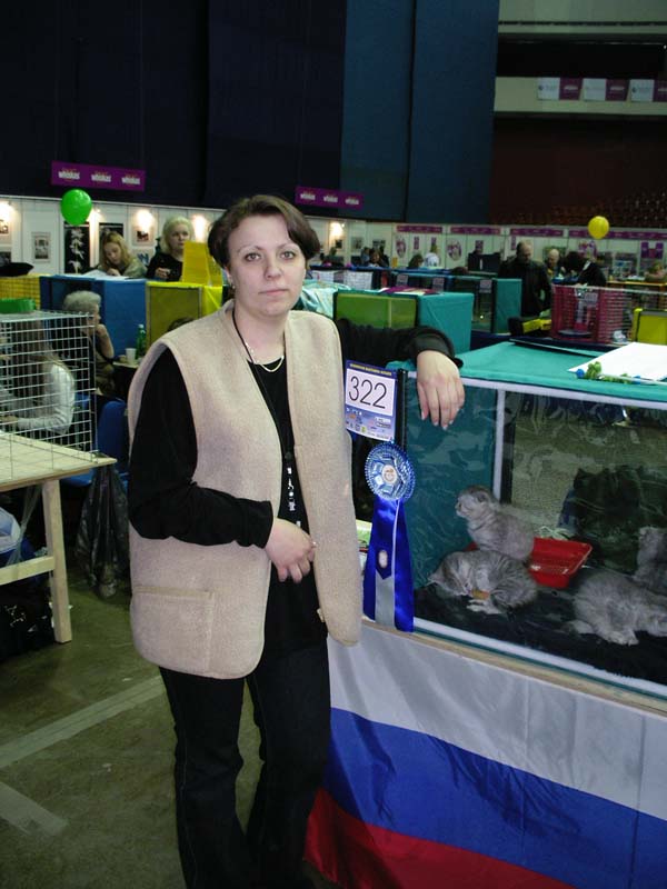 на выставке. Наши кошки