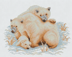 24-R Polar Bears. PINN