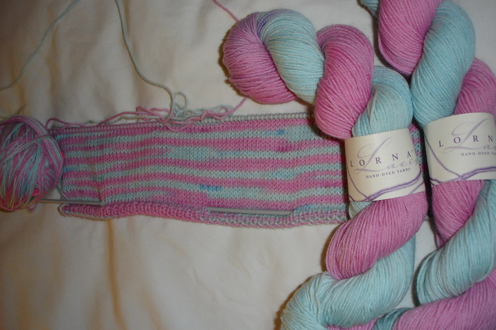Lorna's Laces Shepherd Sock Color  baby Stripe 603 80% superwash wool, 20%  nylon. Moe Dobro