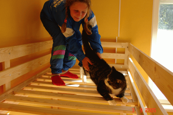 охота на кота:). Сима Полосатый