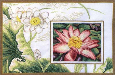 Нимфея . Наборы 'Золотое Руно'