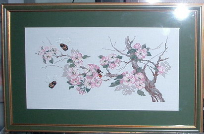 ветка яблони. 