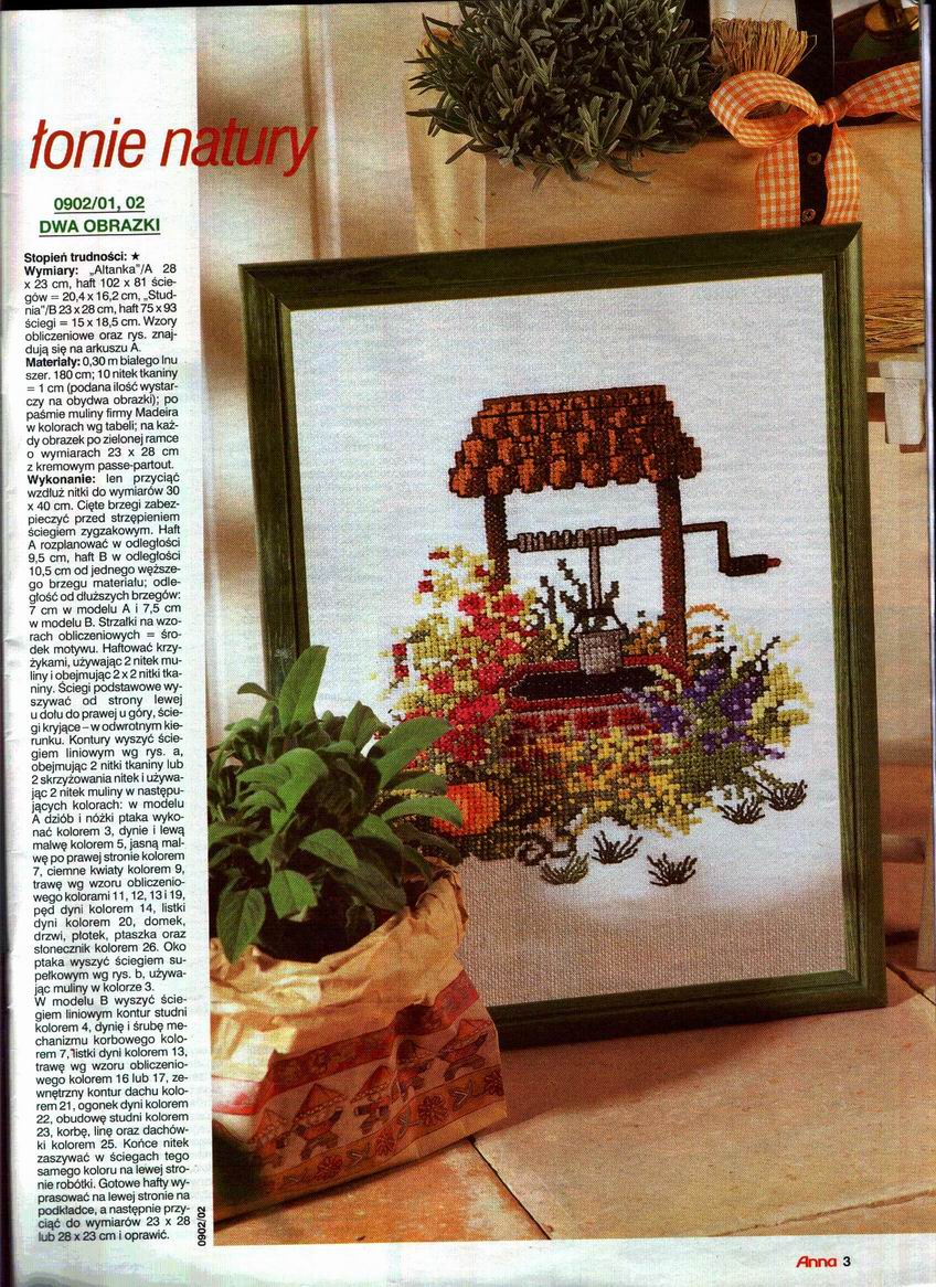 Колодец. Анна 2002