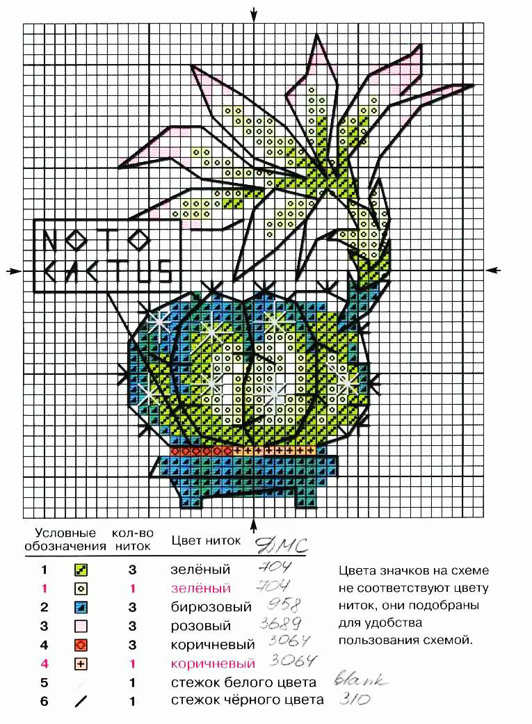 Пчёлка-Notocactus