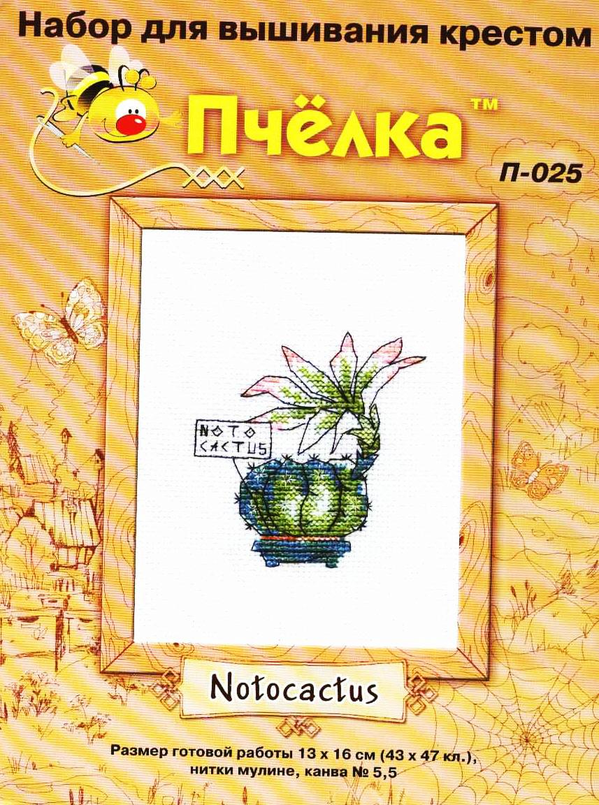 Пчёлка-Notocactus