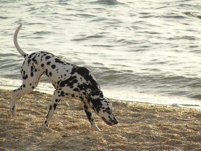 Вечерняя прогулка. Наши места