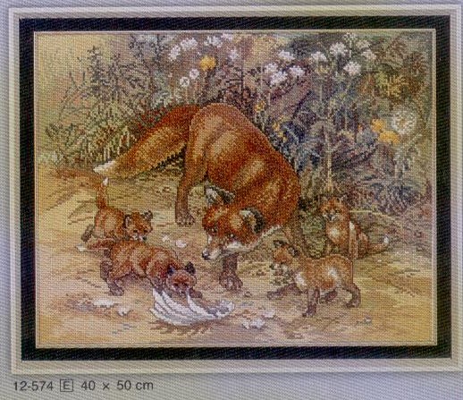 12574 Vossen Fam. ищу/ for looking