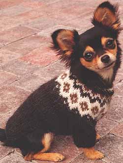 3. Этническое влияние