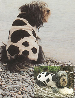 52. Этническое влияние