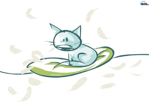 Pictures, webshots etc.