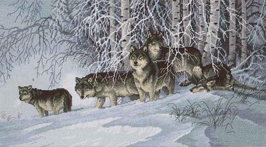 DIM_35009_Winter's_Lace. Dimensions