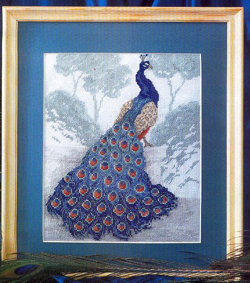 Pav-009. Peacock- Pavlin