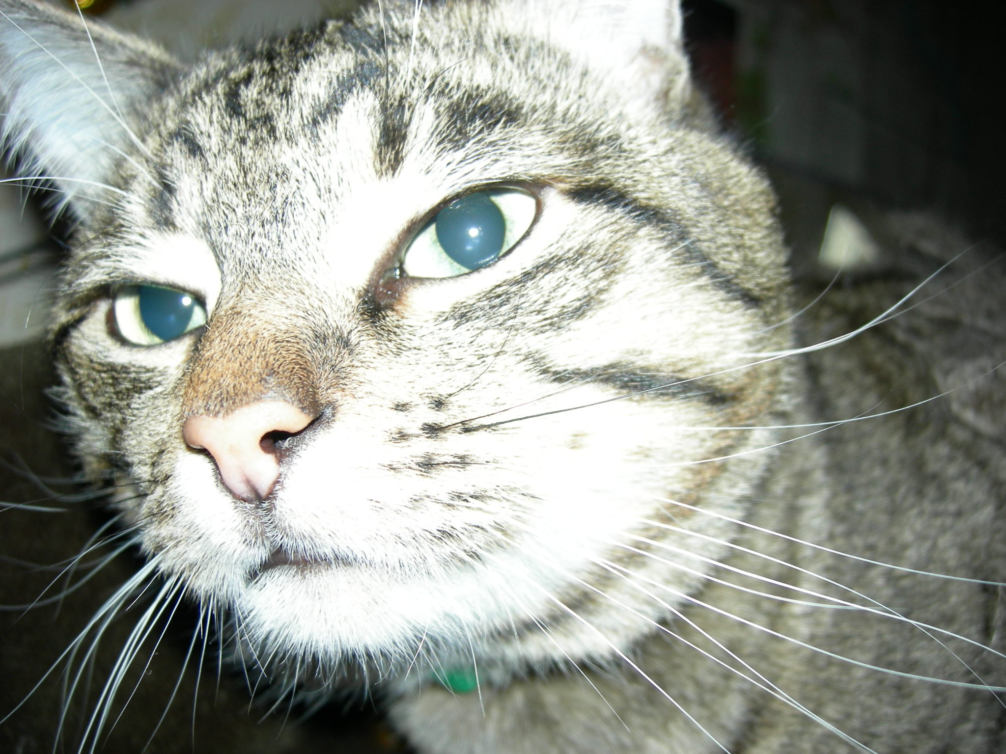 А что там такое интересное. Любимцы