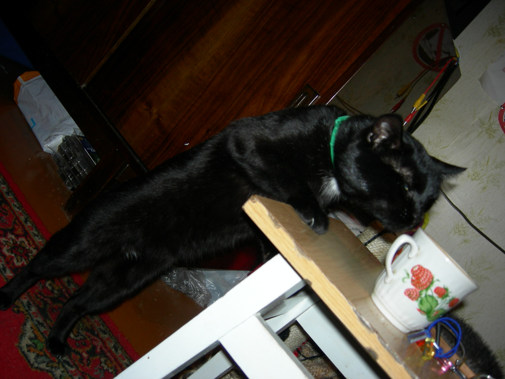 Подайте воды напиться. Любимцы