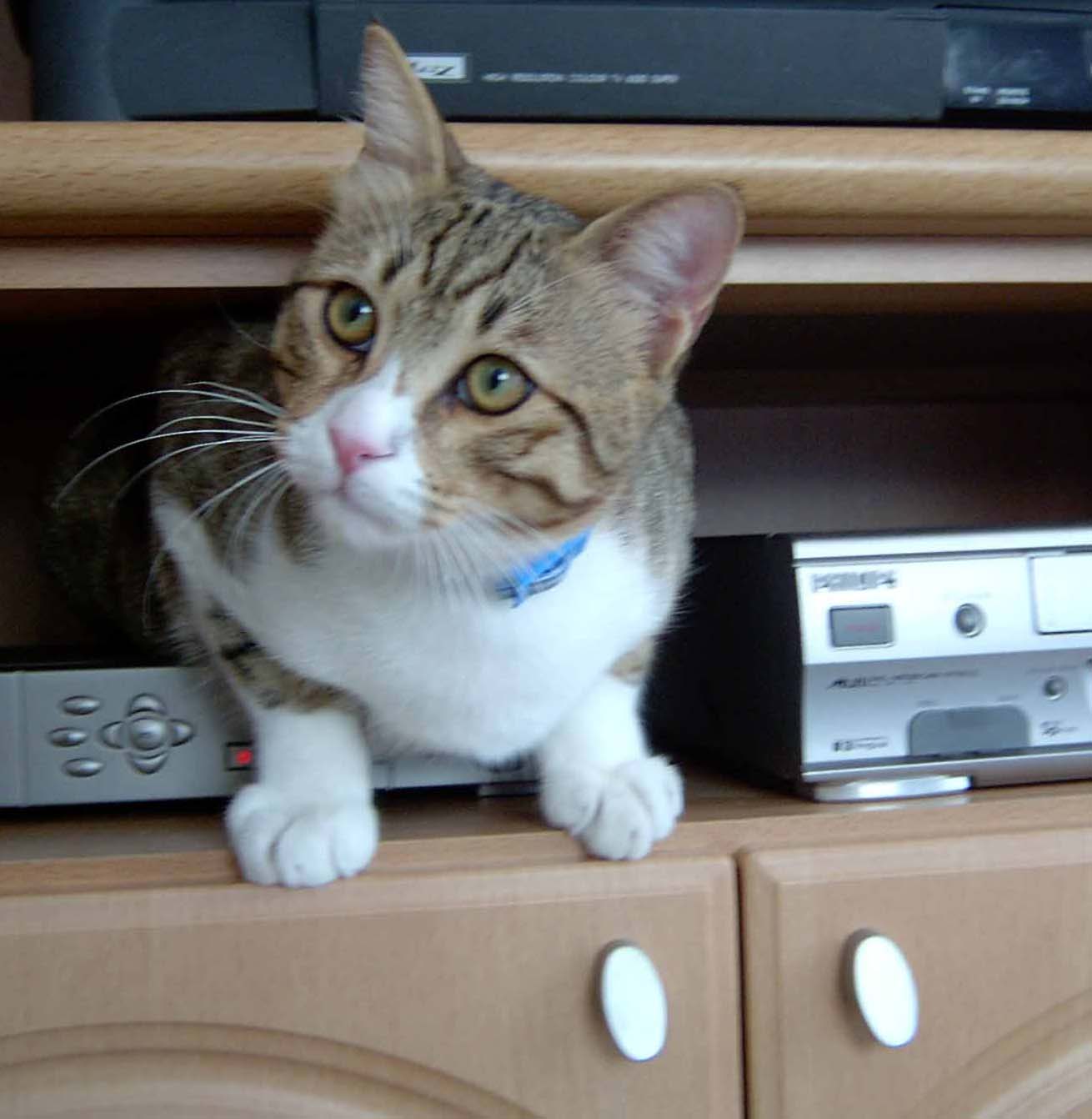 Наш воспитаник и любимиц