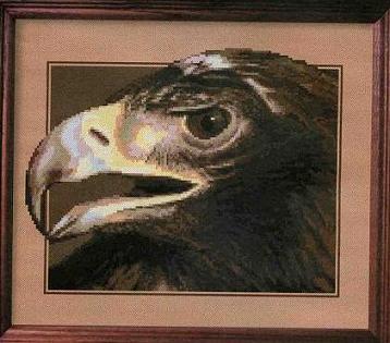 AE-#69. American Eagle and Other...