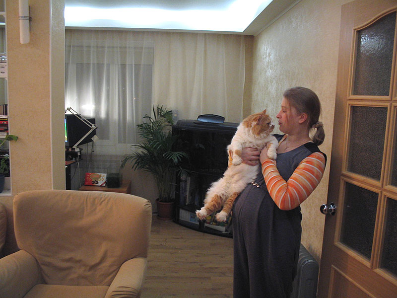 Беременна, это временно :)