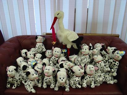 Подарки от Дня аиста. Январь 2006