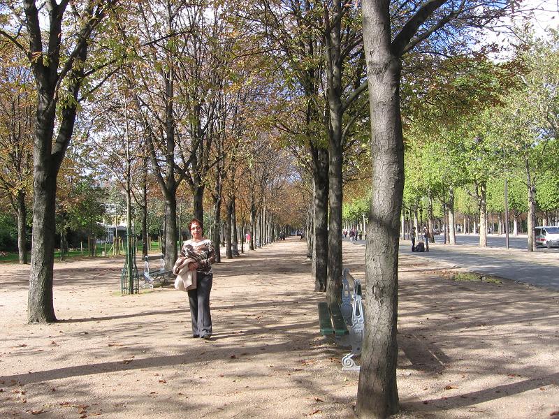 Елисейские Поля. осеннее солнце Парижа