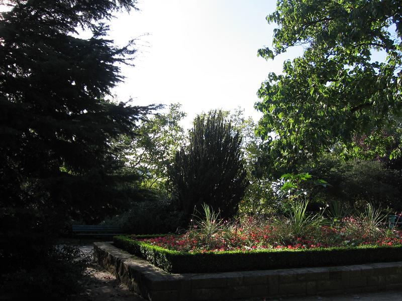 осеннее солнце Парижа