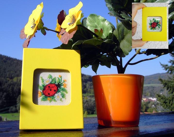 Божья коровка. Картины и картинки