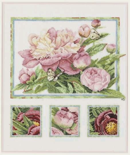 пион розовый. Sofi-sv