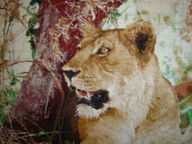 Львица. Выставка 