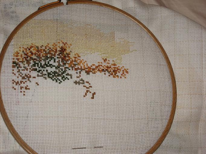 три дня. В процессе