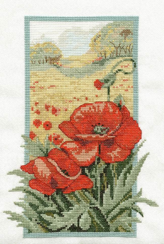 Маки. Цветы