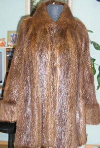 нутрия на молнии. Мои работы