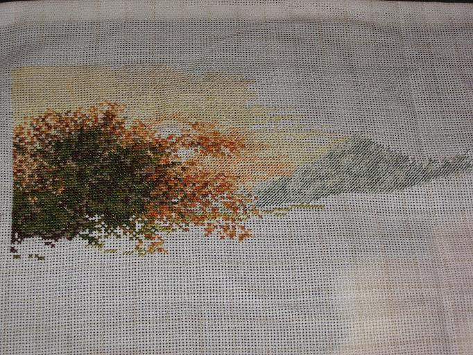 10 дней. В процессе