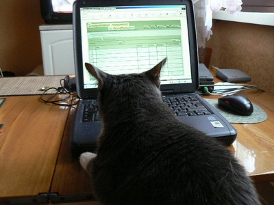 мы на форуме. Моя Лиза