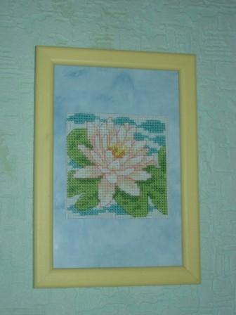 Кувшинка. Мелочушки