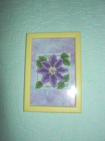 Клематис. Мелочушки